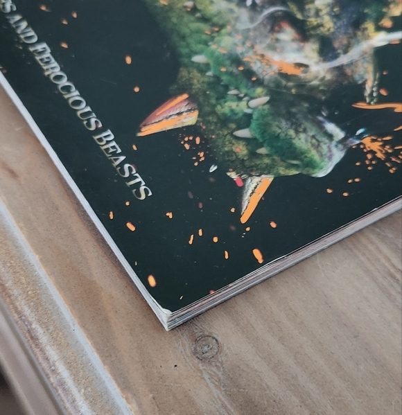 🐉 The Fantastical World of Beasts Book – Mythical Creatures, Very Good - Picture 3 of 15